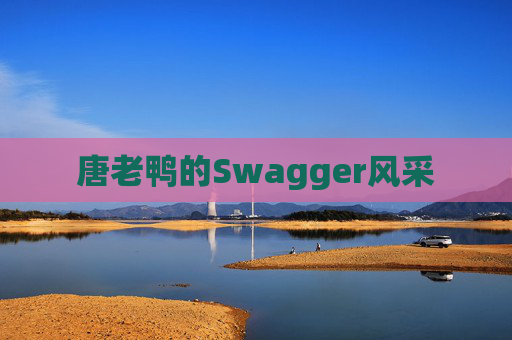 唐老鸭的Swagger风采
